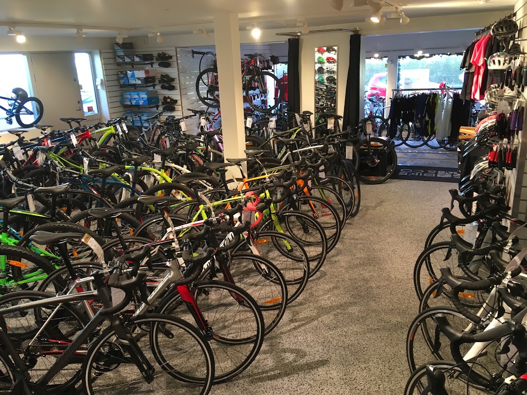 bike-co-1.jpeg