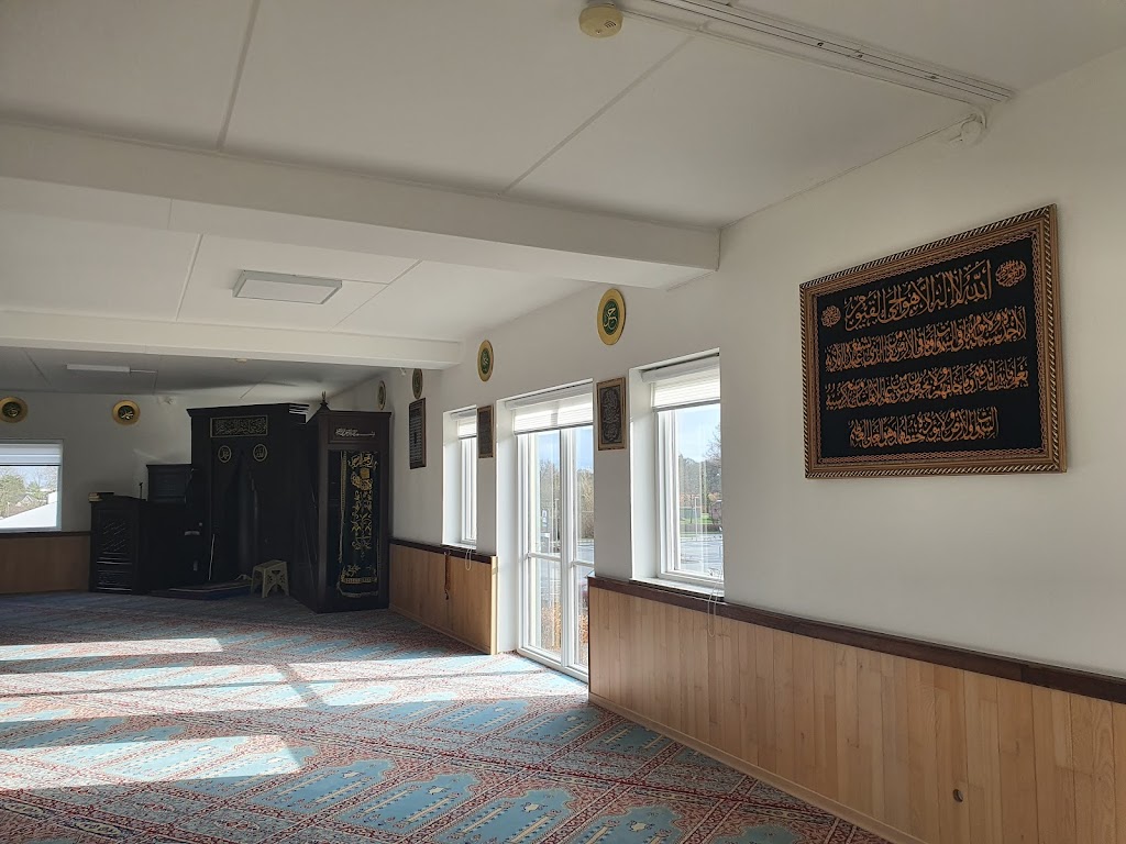 elsinore-mosque-11.jpeg