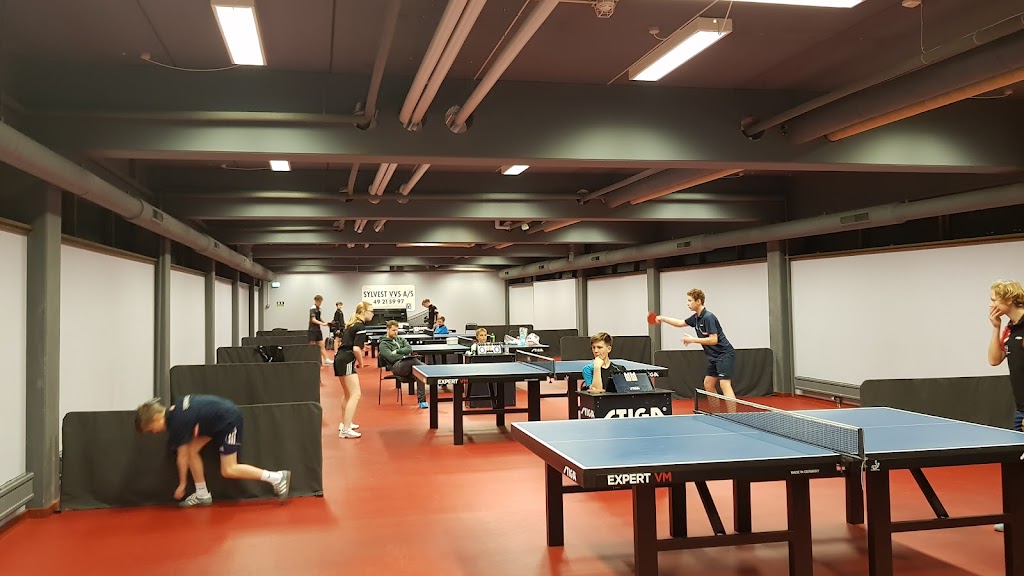 helsingor-bordtennis-klub-2.jpeg