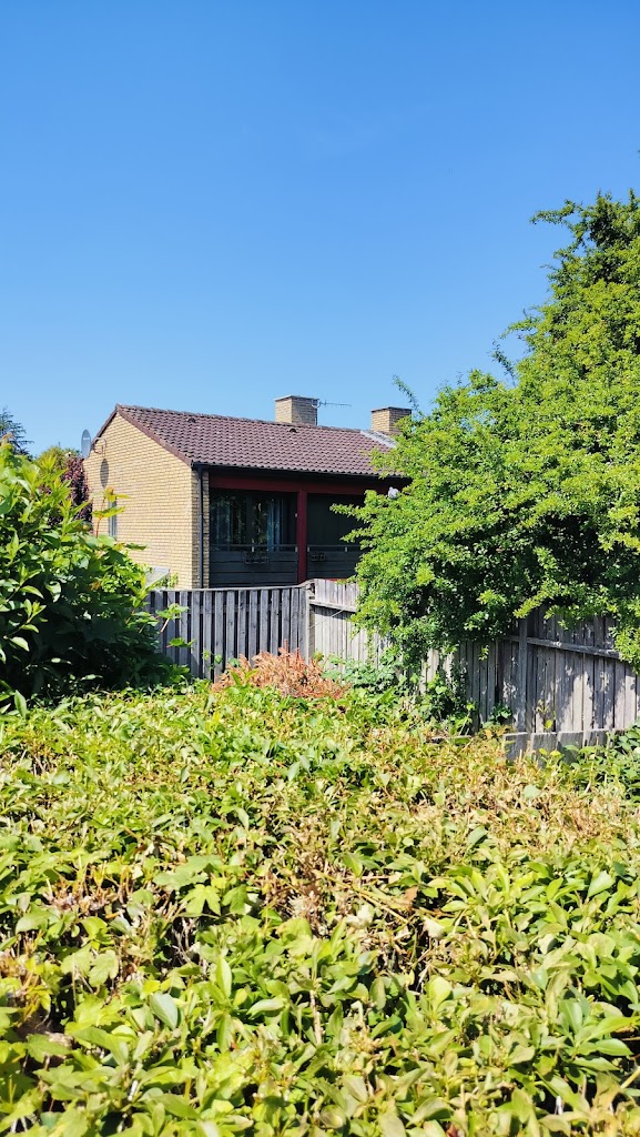 kambiono-v-ronald-ingolf-pedersen-1.jpeg