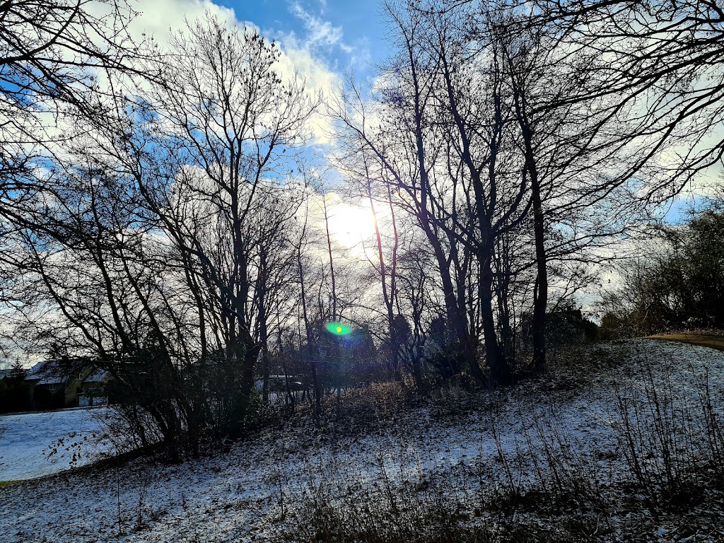 skojtebane-helsingor-16.jpeg