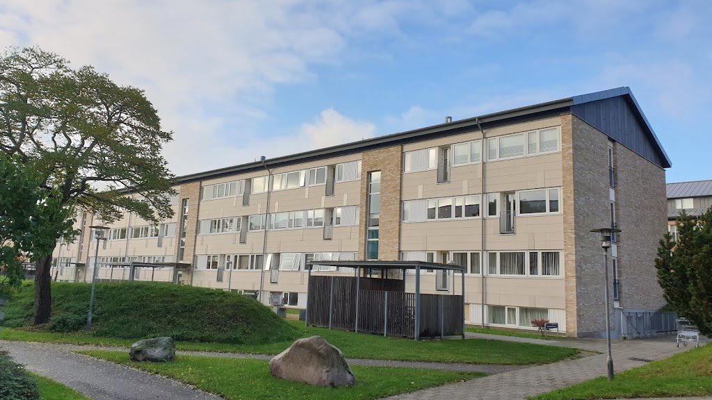 vapnagard-9.jpeg