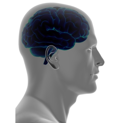wholebrain-technologies-6.jpeg