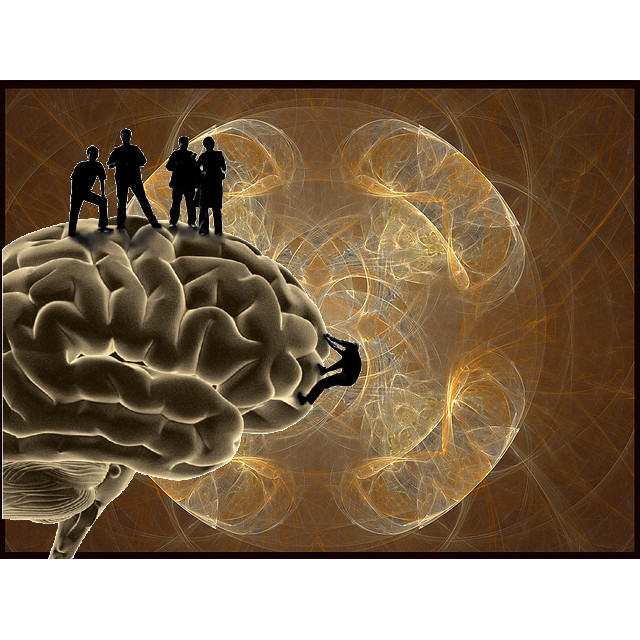 wholebrain-technologies-7.jpeg