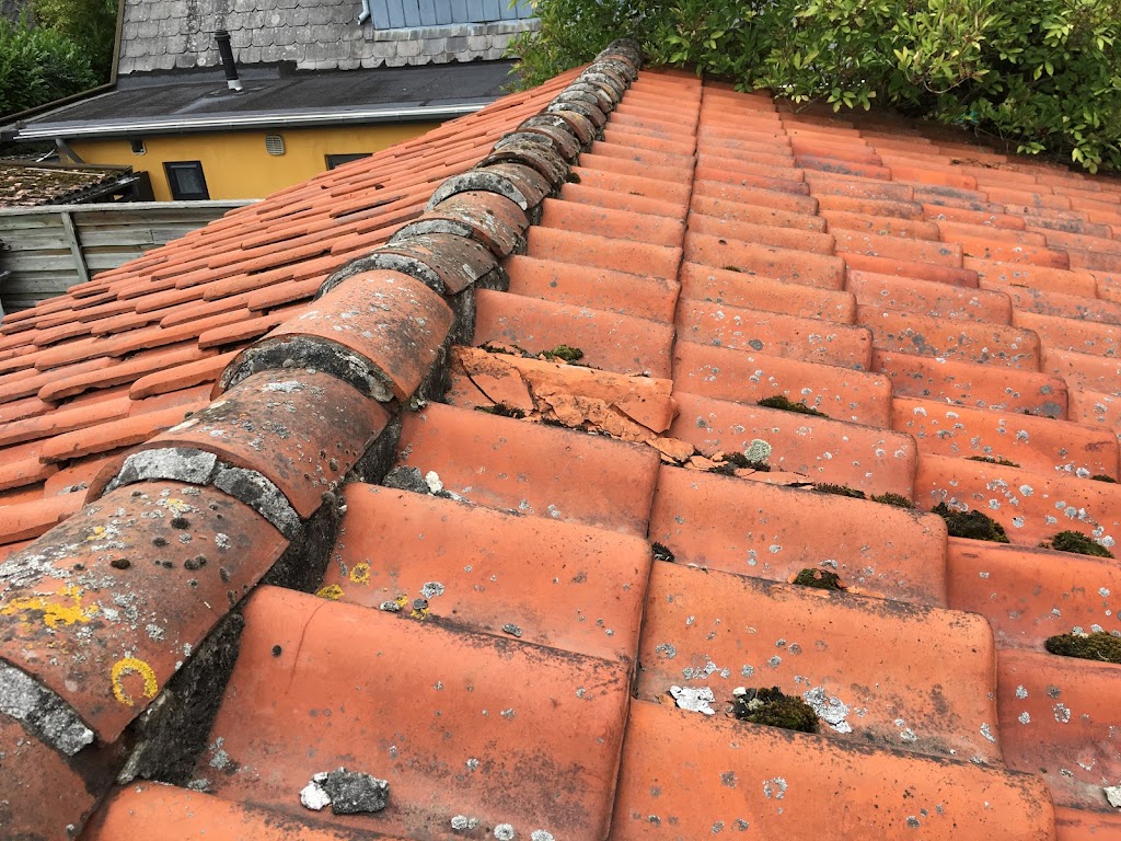 willenlund-radgivning-beskikket-bygningssagkyndig-og-sagkyndig-for-domstolen-4.jpeg