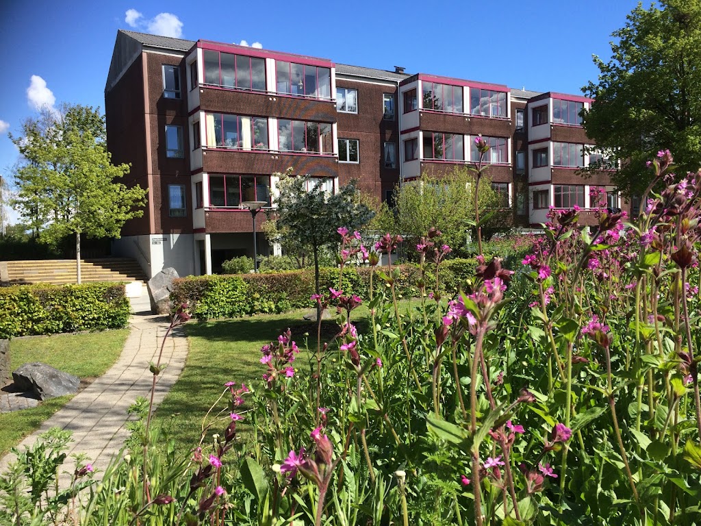 1007-lille-birkholm-iii-0.jpeg
