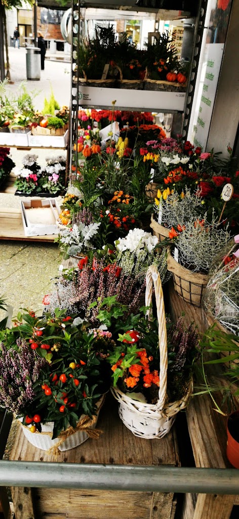 bangs-torv-blomster-3.jpeg