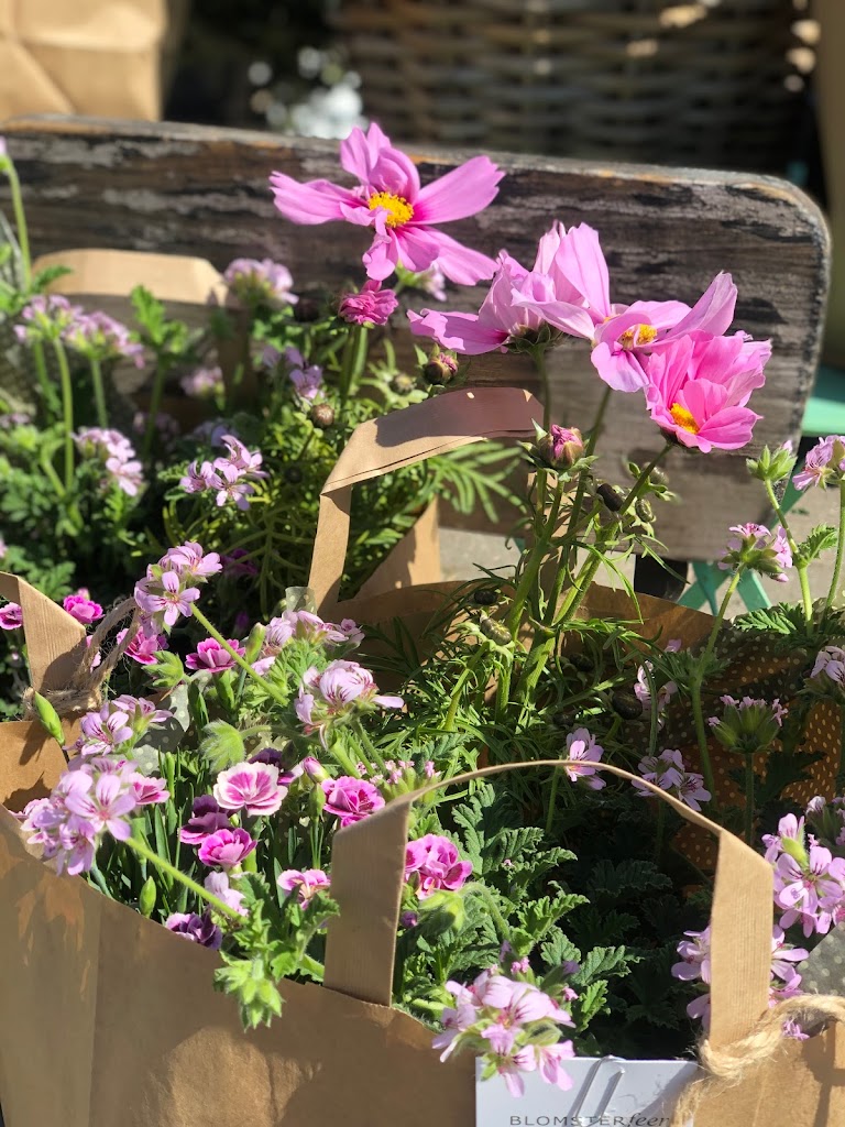blomsterfeen-16.jpeg