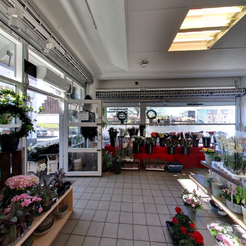 center-blomster-1.jpeg