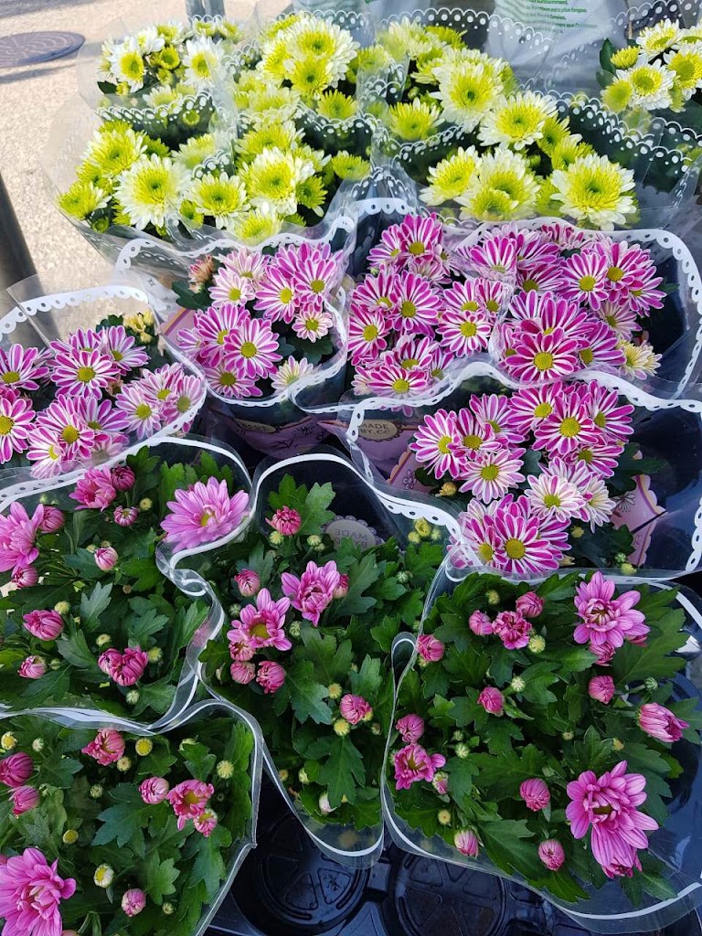 center-blomster-18.jpeg