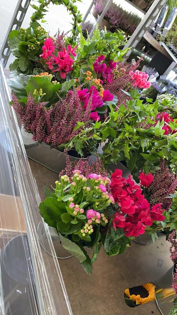 center-blomster-2.jpeg