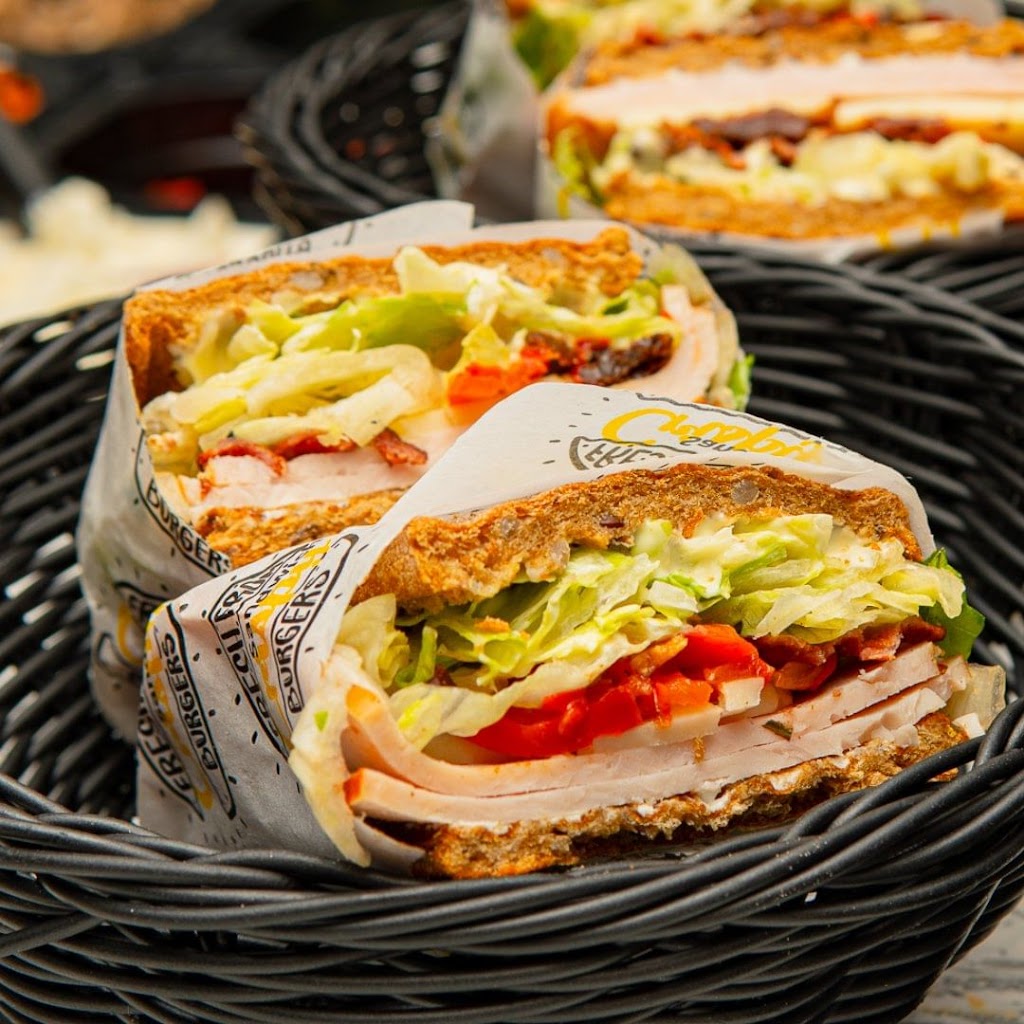crispy-sandwich-0.jpeg