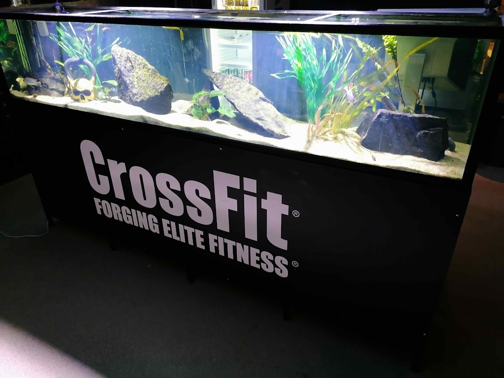 gladsaxe-crossfit-15.jpeg