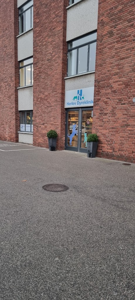 herlev-dyreklinik-5.jpeg