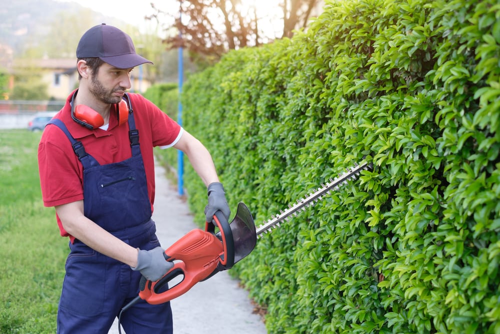 lillegaard-facility-services-aps-4.jpeg