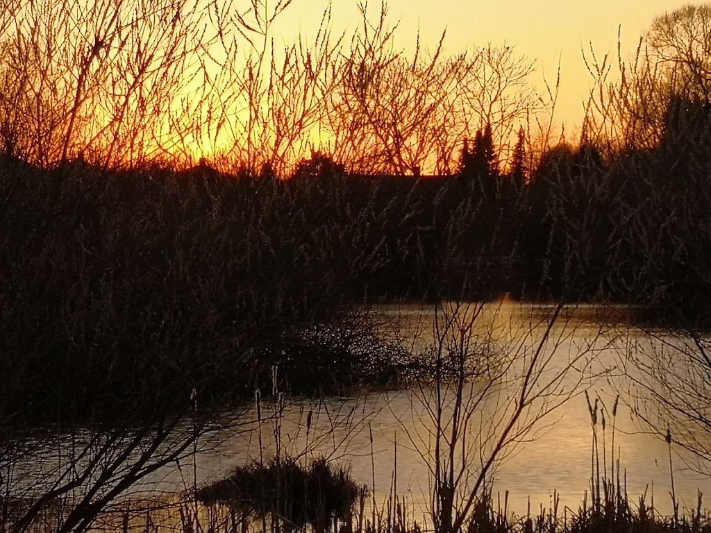 nattergalesoen-12.jpeg