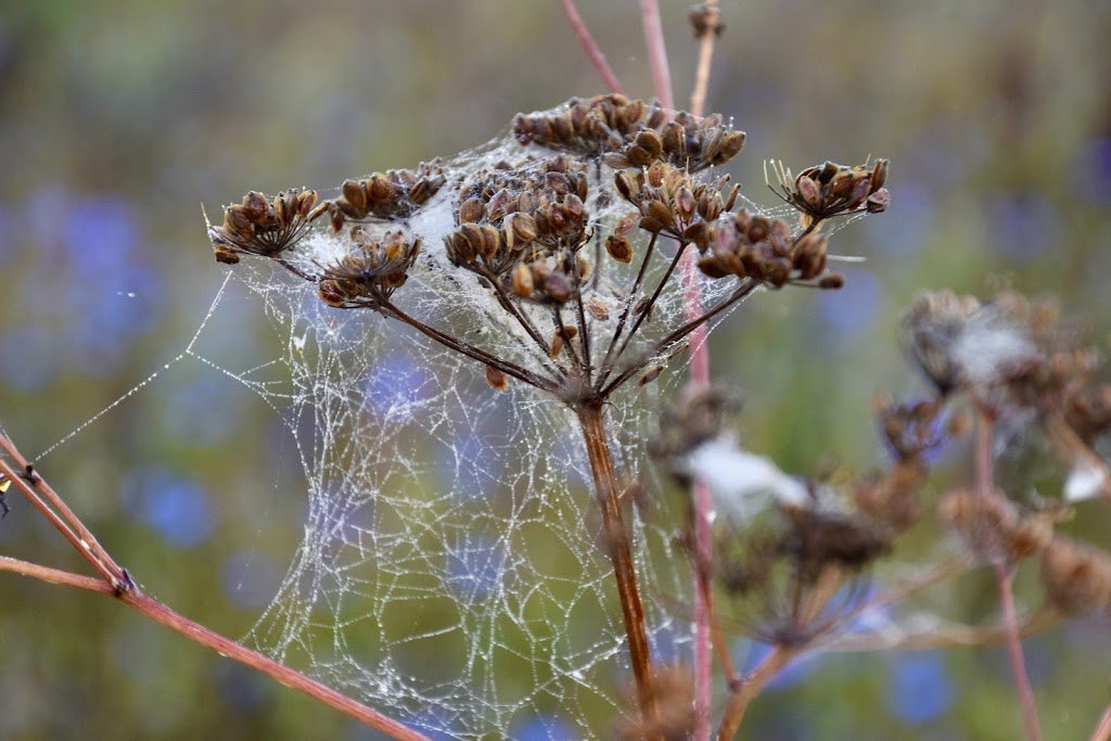 naturcenter-kildegarden-10.jpeg
