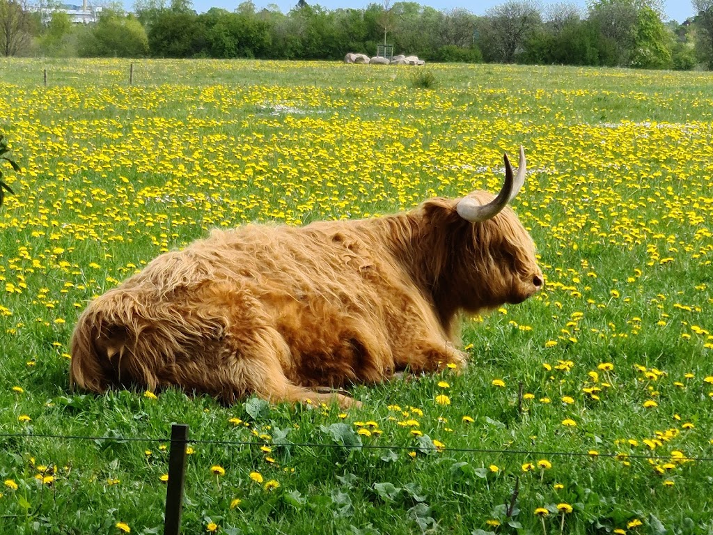 naturcenter-kildegarden-12.jpeg