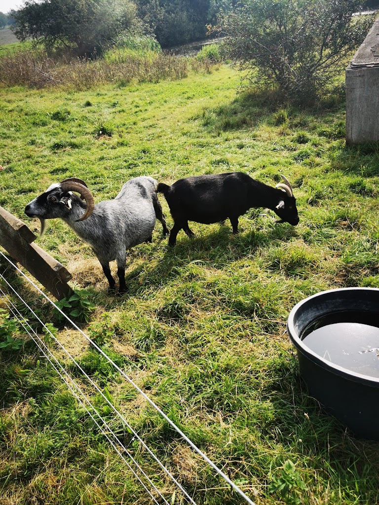 naturcenter-kildegarden-16.jpeg