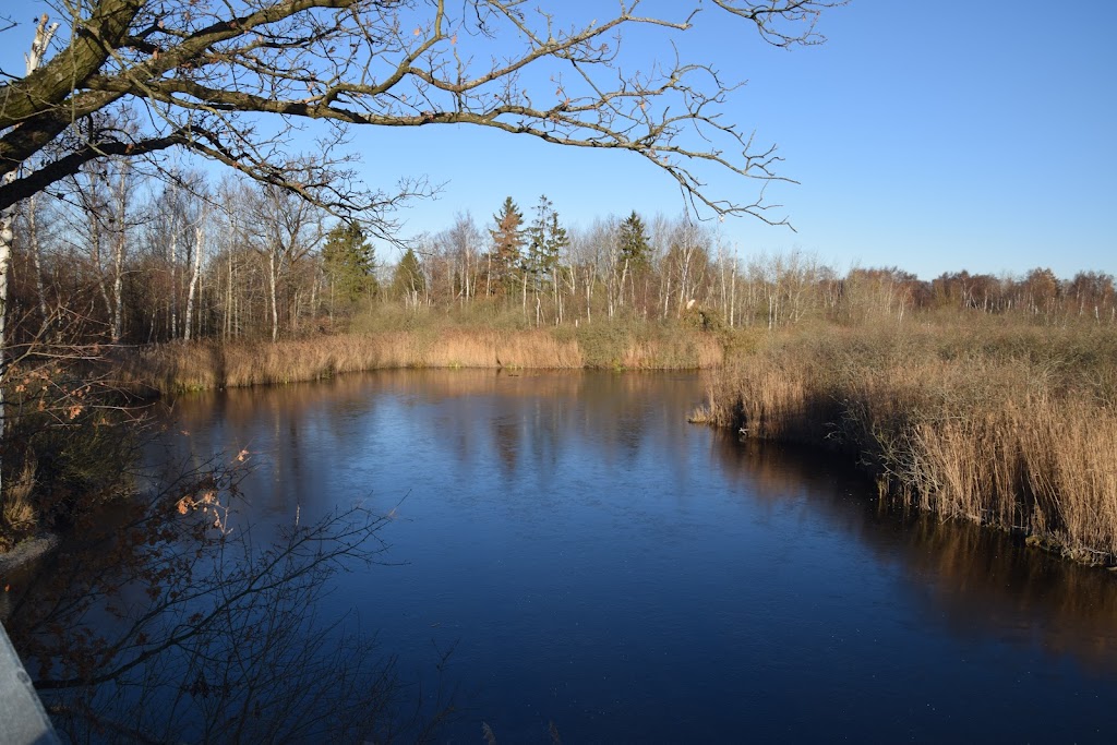 naturcenter-kildegarden-2.jpeg