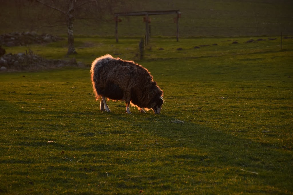 naturcenter-kildegarden-5.jpeg