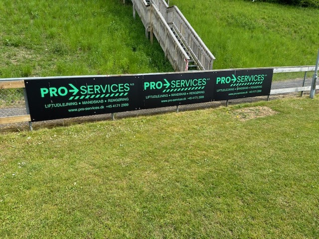 pro-services-0.jpeg