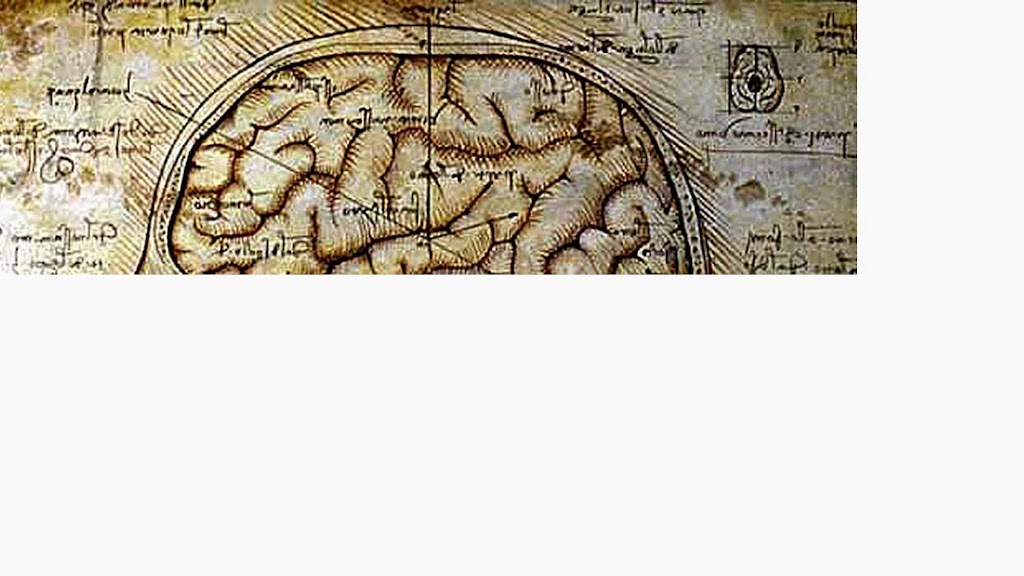 psychological-and-neuropsychological-clinic-herlev-1.jpeg