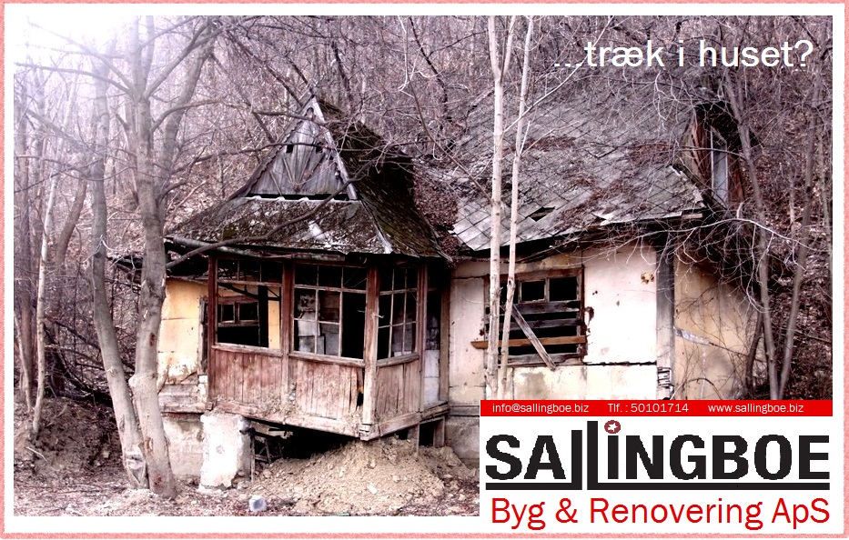 sallingboe-aps-building-cleaning-property-service-14.jpeg