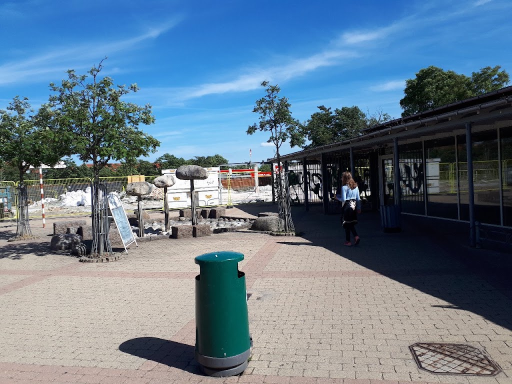 skovlunde-blomster-7.jpeg