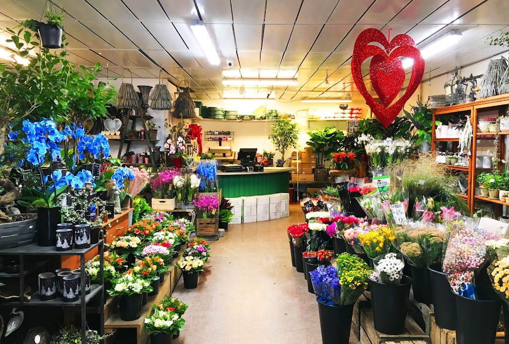 torvets-blomster-0.jpeg