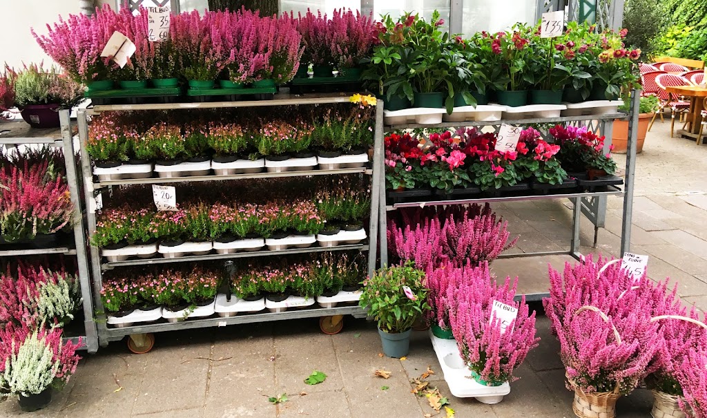 torvets-blomster-7.jpeg
