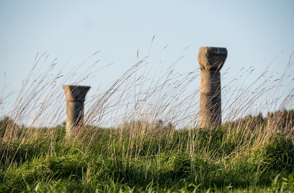 aebelholt-abby-ruins-12.jpeg