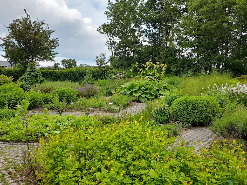 aebelholt-kloster-museum-nordsjaelland-3.jpeg