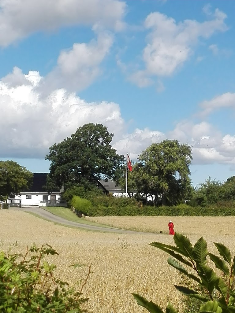 aebelholt-kloster-museum-nordsjaelland-4.jpeg