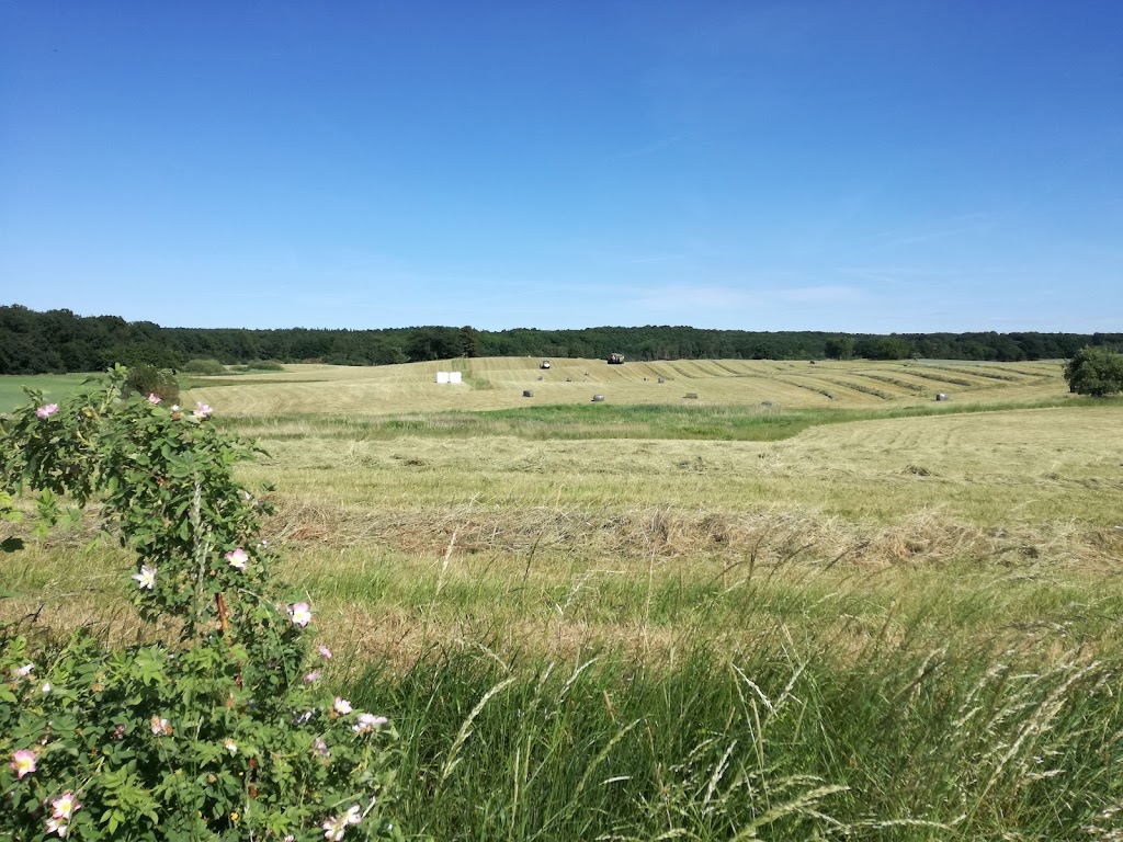 bofaellesskabet-bauneholm-10.jpeg