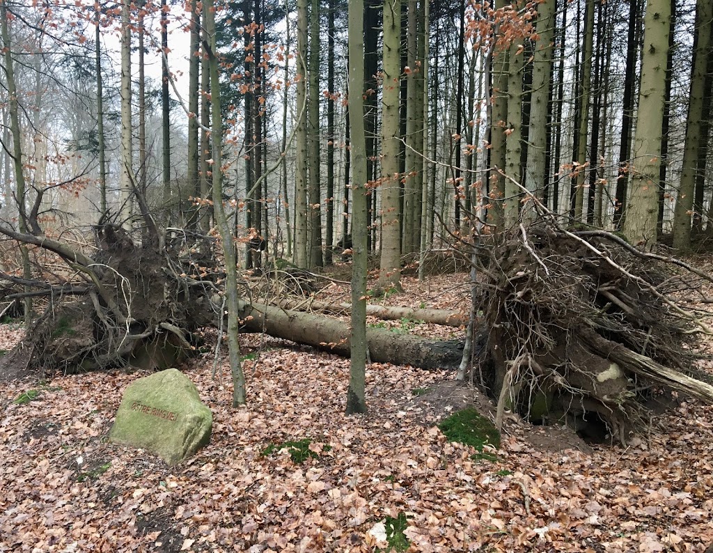 bofaellesskabet-bauneholm-5.jpeg
