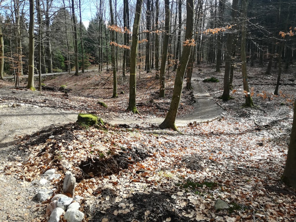 det-bla-mtb-spor-i-st-dyrehave-1.jpeg