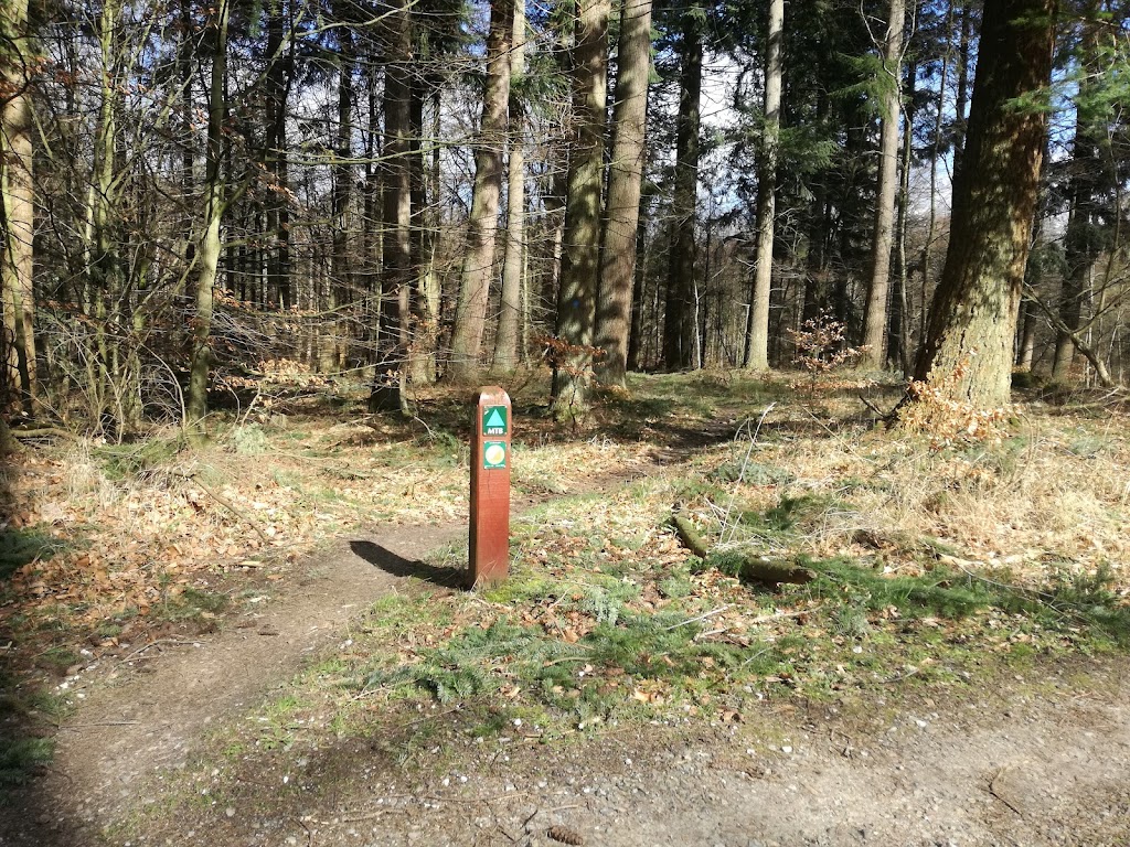 det-bla-mtb-spor-i-st-dyrehave-10.jpeg