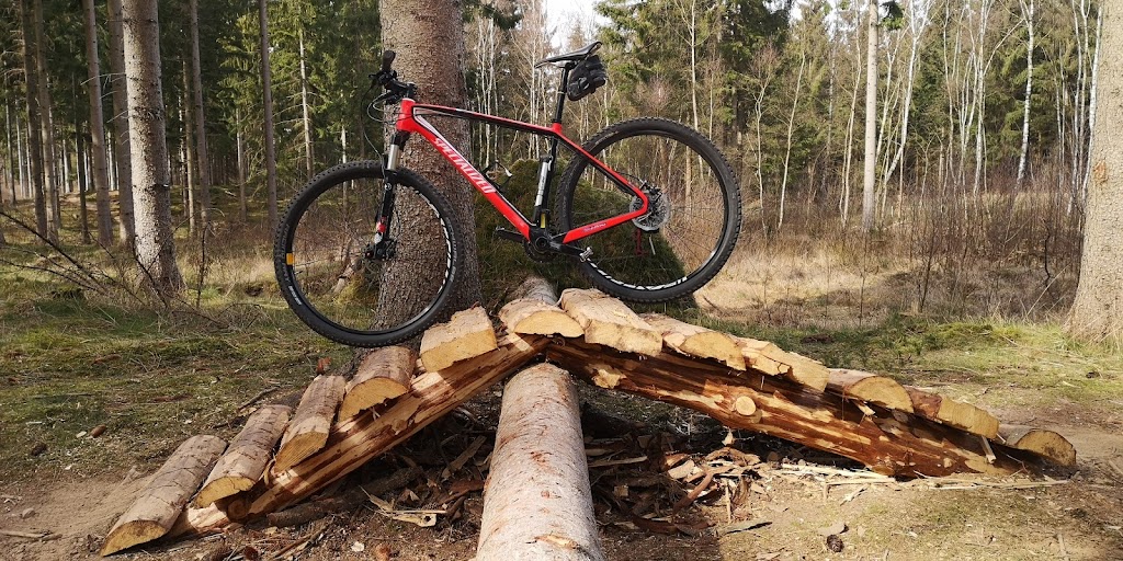 det-bla-mtb-spor-i-st-dyrehave-13.jpeg