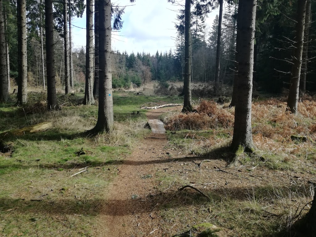 det-bla-mtb-spor-i-st-dyrehave-14.jpeg