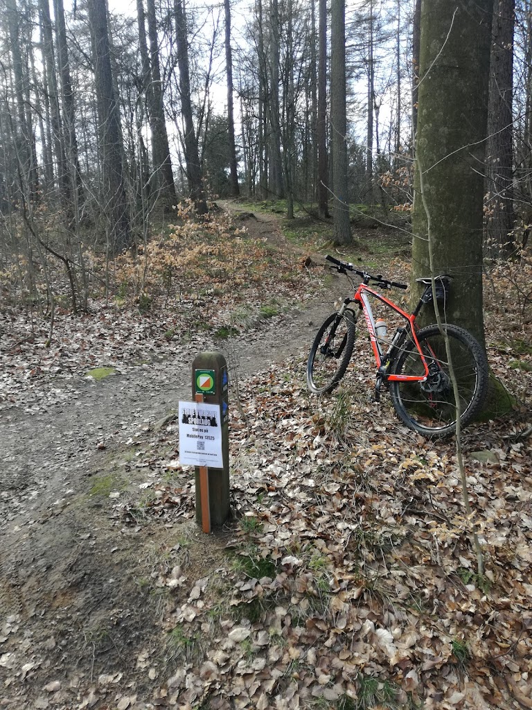 det-bla-mtb-spor-i-st-dyrehave-16.jpeg