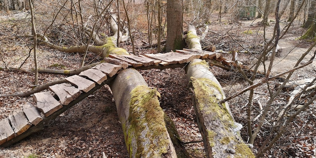 det-bla-mtb-spor-i-st-dyrehave-4.jpeg