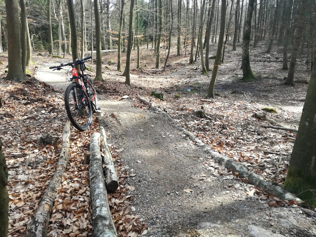 det-bla-mtb-spor-i-st-dyrehave-5.jpeg