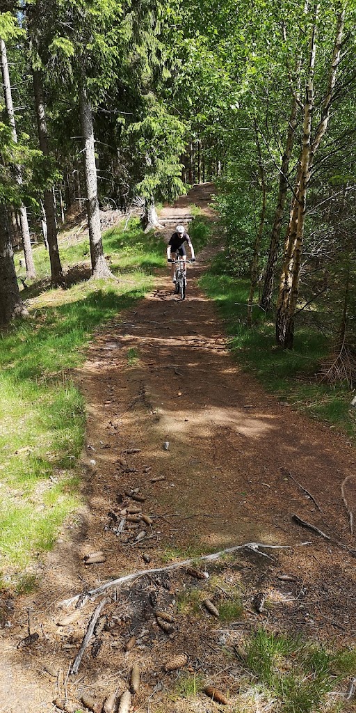 det-bla-mtb-spor-i-st-dyrehave-6.jpeg