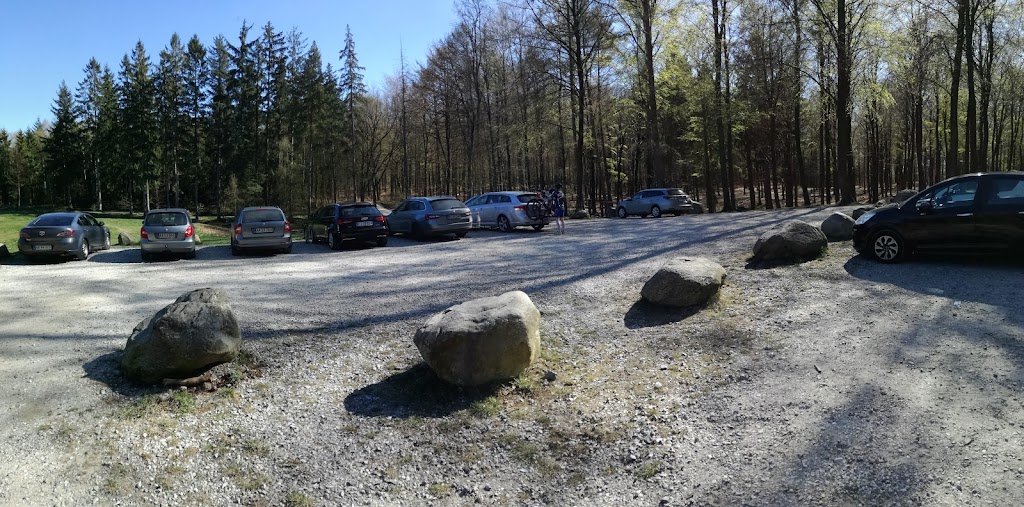 det-bla-mtb-spor-i-st-dyrehave-7.jpeg