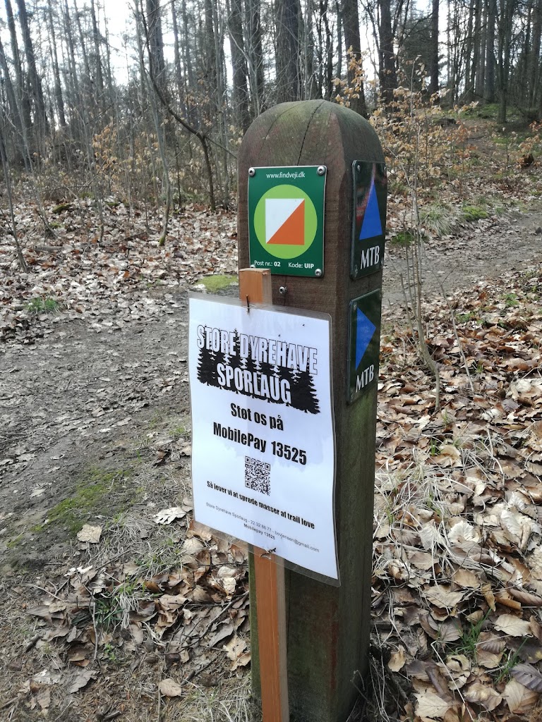 det-bla-mtb-spor-i-st-dyrehave-8.jpeg