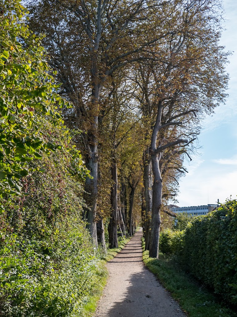 gatur-slotspark-0.jpeg