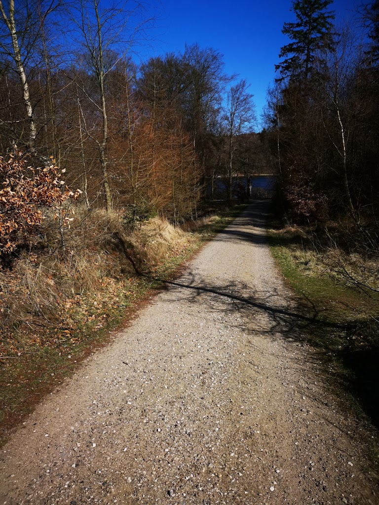gribso-start-9.jpeg