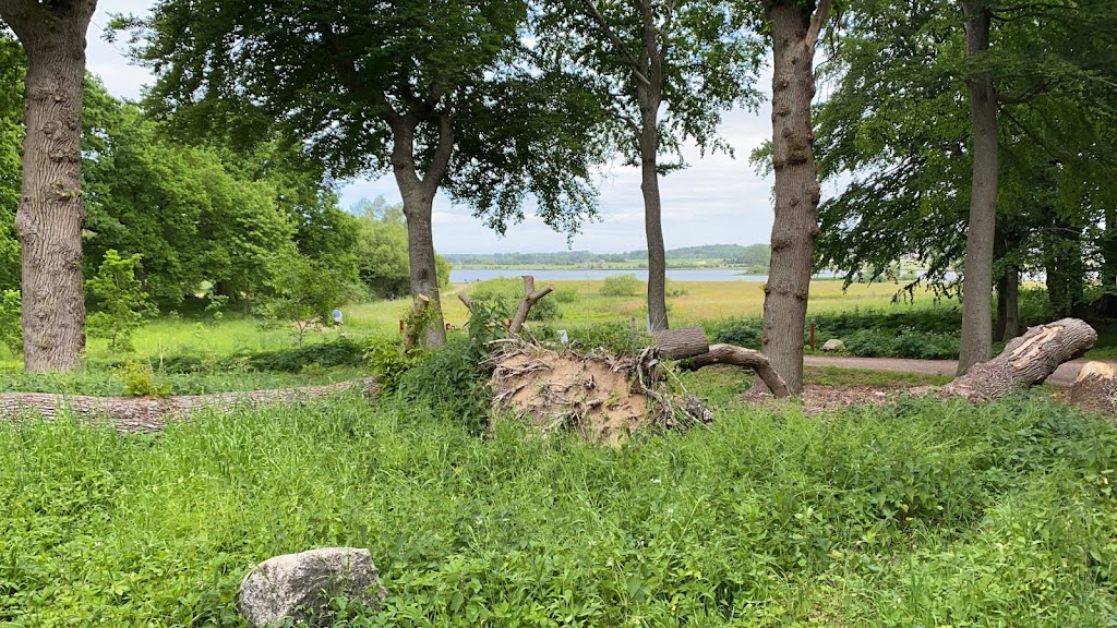 haldbjerg-cafe-ved-tibberuphus-14.jpeg