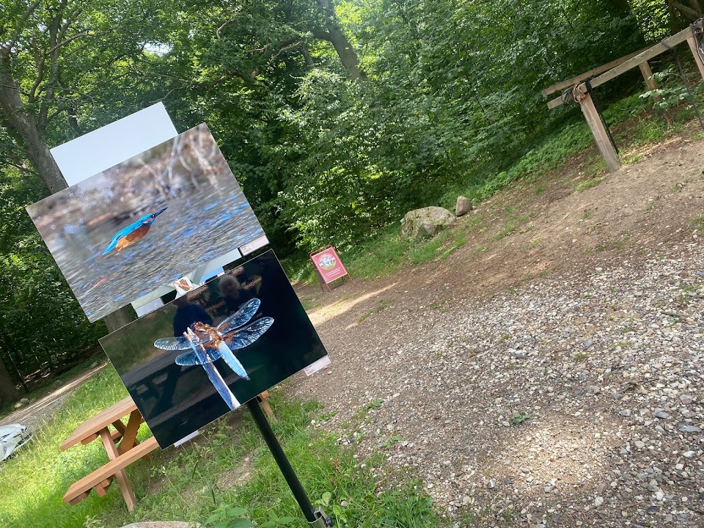 haldbjerg-cafe-ved-tibberuphus-9.jpeg